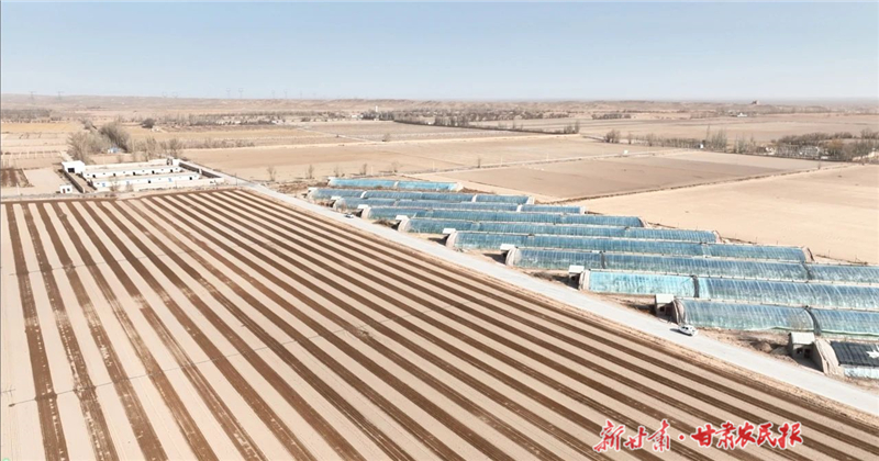 科技賦能春耕！金川區(qū)雙灣鎮(zhèn)拉滿春播進(jìn)度條