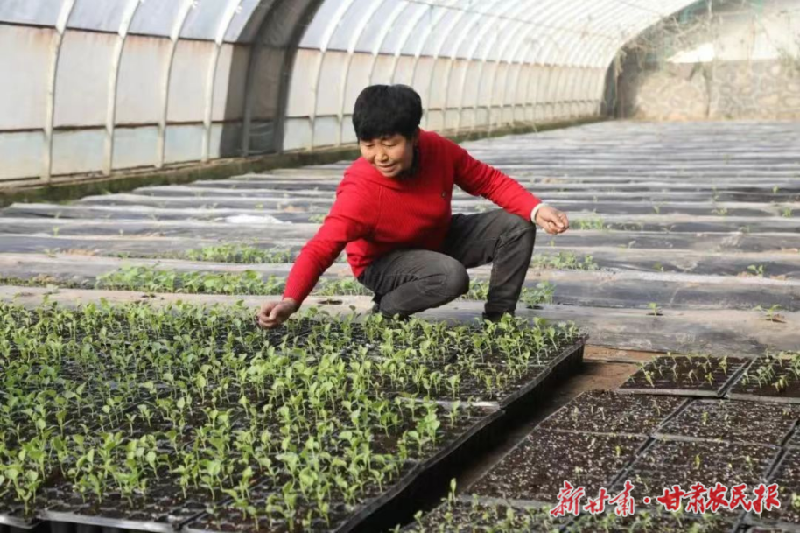 蘭州:稅惠春風拂面來   助力春耕正當時