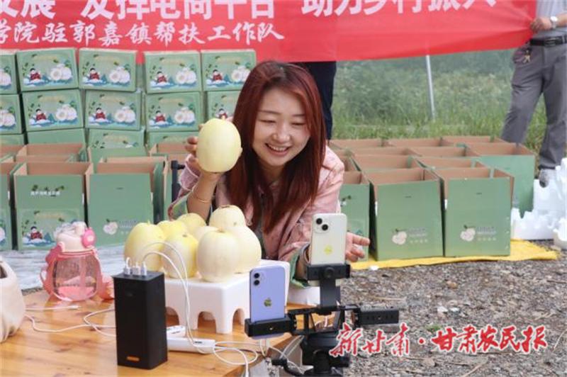 秦安縣:“電商+幫扶”雙輪驅(qū)動(dòng)白脆瓜銷(xiāo)售“出圈”