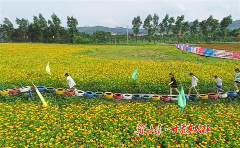 華亭：加力農(nóng)業(yè)全產(chǎn)業(yè)鏈建設(shè) 推動鄉(xiāng)村產(chǎn)業(yè)發(fā)展壯大