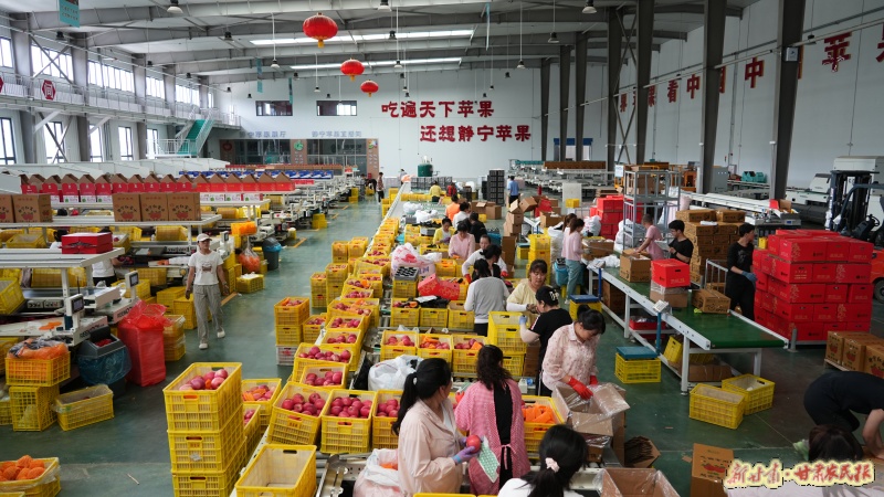 蘋果智能分揀車間