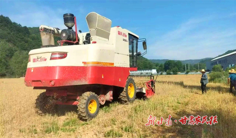 華亭：搶收小麥 奏響豐收樂章
