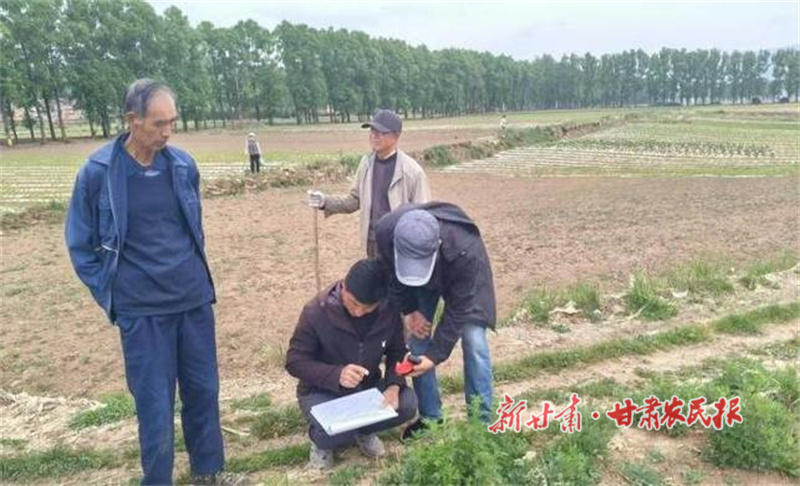 華亭：藥材補助“及時雨” 滋潤田間“致富方”