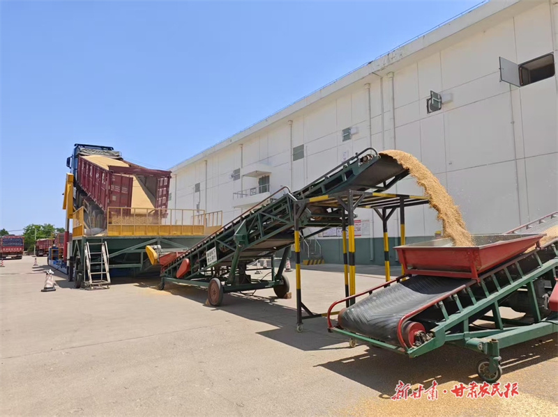 崆峒區(qū)：顆粒歸倉(cāng)保民生