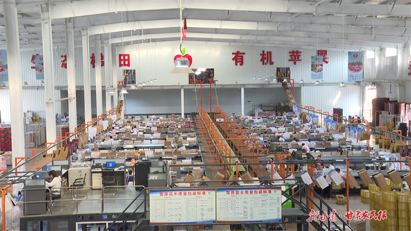 莊浪：“智能”分揀助力產(chǎn)業(yè)振興