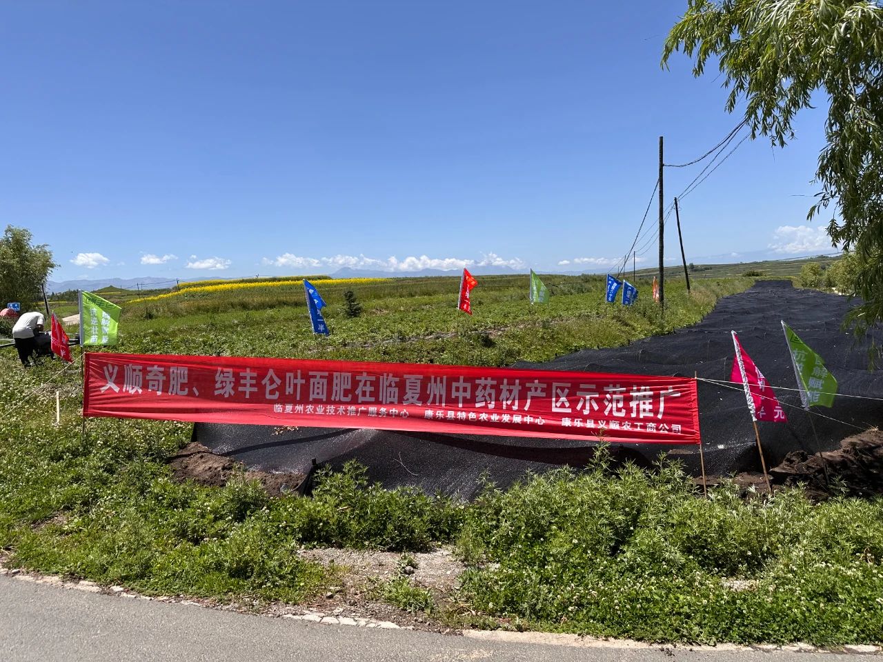 無人機(jī)“飛”出中藥材種植新天地