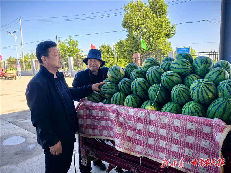 西瓜產(chǎn)業(yè)鋪就“甜蜜”致富路