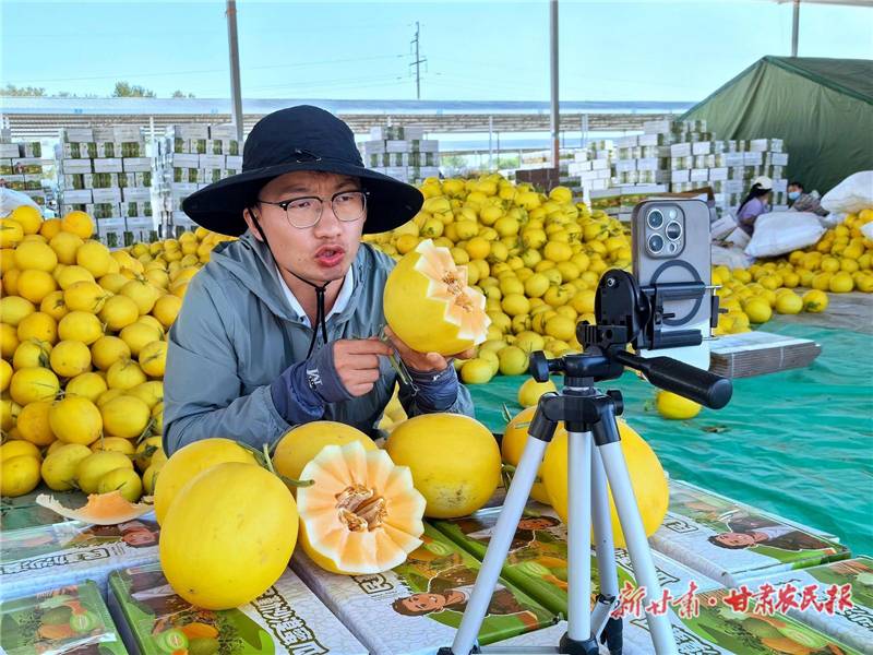 直播間里訂單滾滾！民勤蜜瓜“觸網(wǎng)攀云”破圈出隴