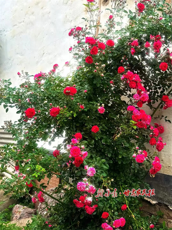 華亭：建設(shè)“四小園”打造家門口的微幸福