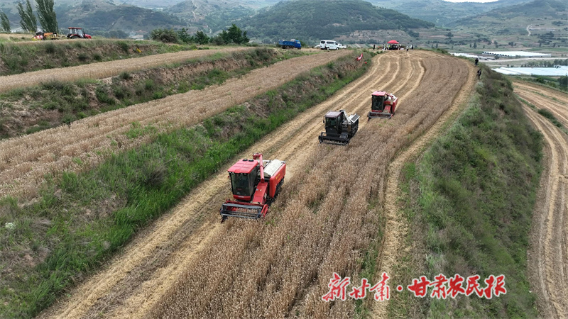 秦州區(qū)：機(jī)收大比武 減損助增收

