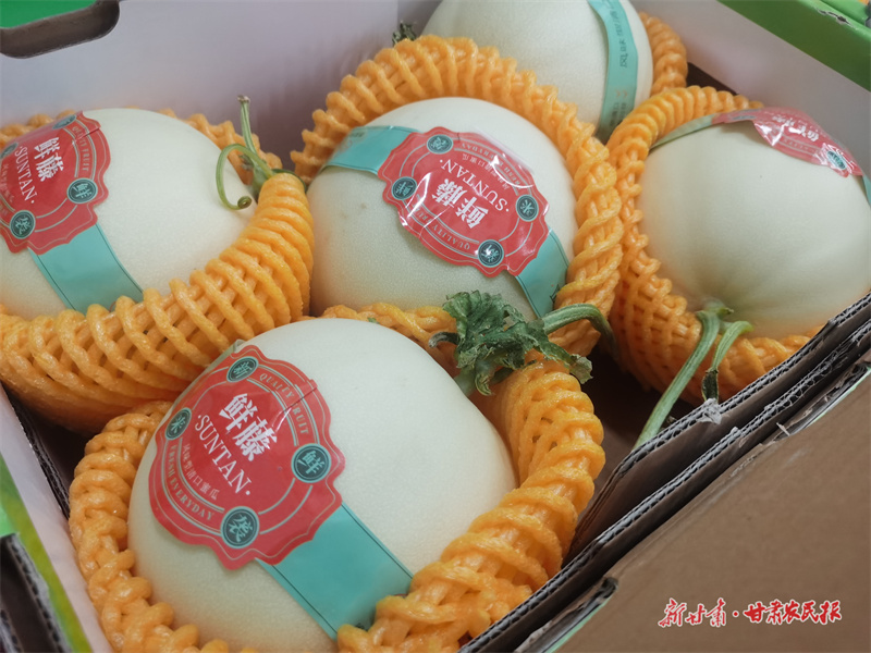 繪一張健康“全鏈圖”——生態(tài)健康農(nóng)業(yè)的金塔路徑（下）