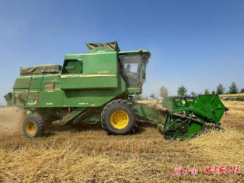 涼州：機(jī)聲轟鳴奏豐年 麥香盈倉惠民生