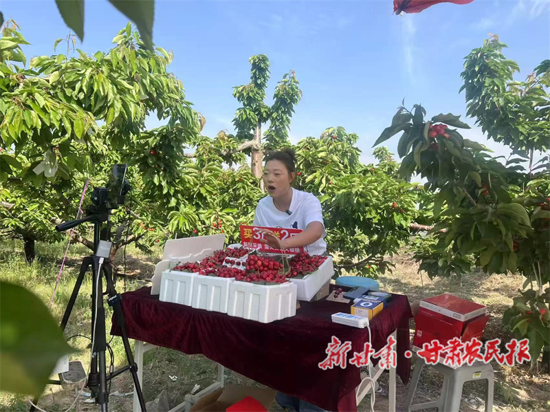 秦州大櫻桃線上銷售創(chuàng)新高