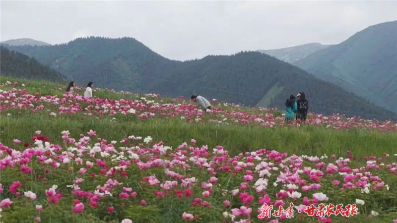 天祝：祁連山下產(chǎn)業(yè)興