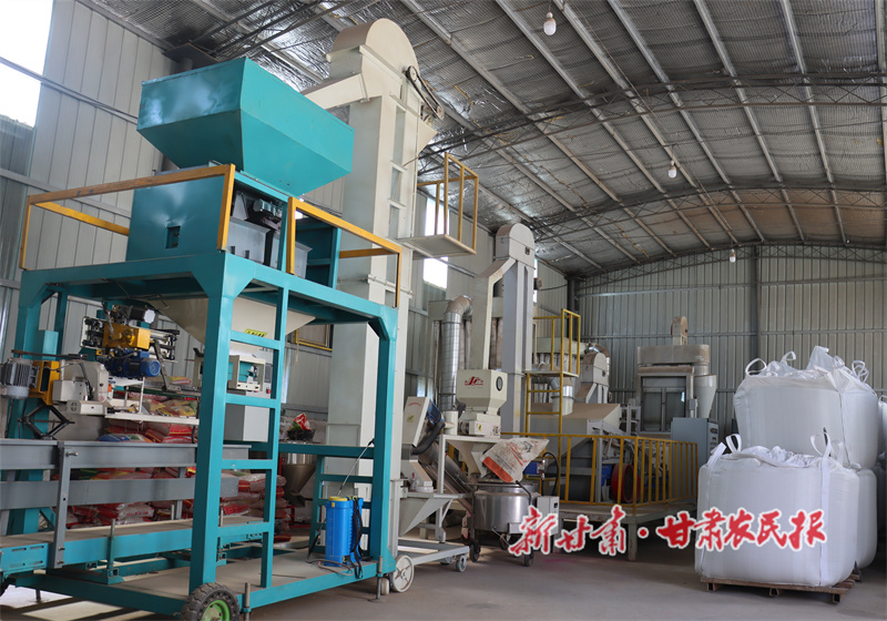 清水縣：種儲加工蓄力待發(fā) 構(gòu)建小麥全產(chǎn)業(yè)鏈條