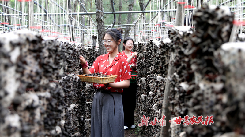 沃野綻新顏 鄉(xiāng)村譜華章——清水縣2025年上半年農(nóng)業(yè)農(nóng)村工作綜述

