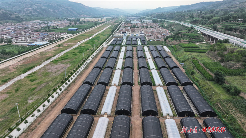 莊浪：“雙輪驅(qū)動(dòng)”推動(dòng)集體經(jīng)濟(jì)多元化發(fā)展