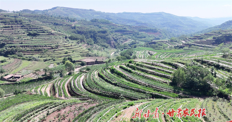 秦州區(qū)：立足優(yōu)勢謀發(fā)展 產(chǎn)業(yè)引領(lǐng)開新局