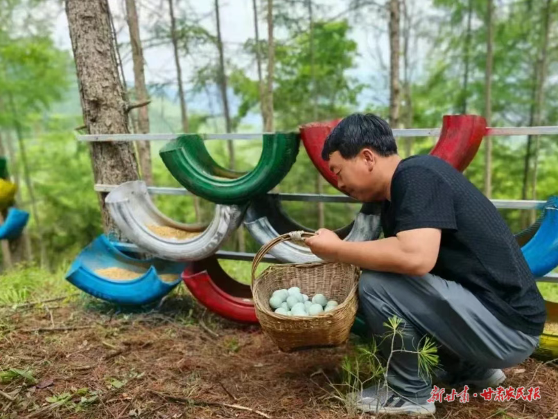 兩當(dāng) “云上農(nóng)場”里的致富經(jīng)