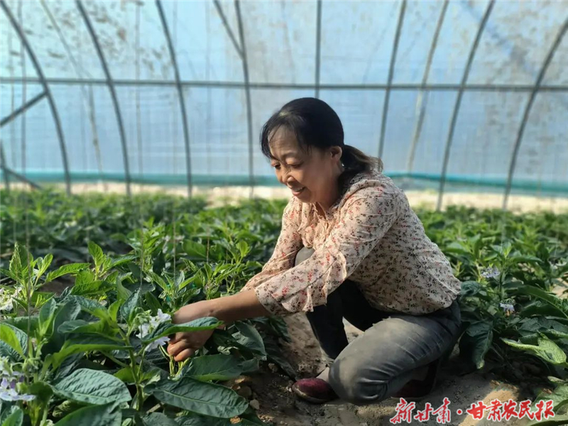 民勤：高效節(jié)水灌溉推動(dòng)現(xiàn)代農(nóng)業(yè)駛?cè)?ldquo;快車道”