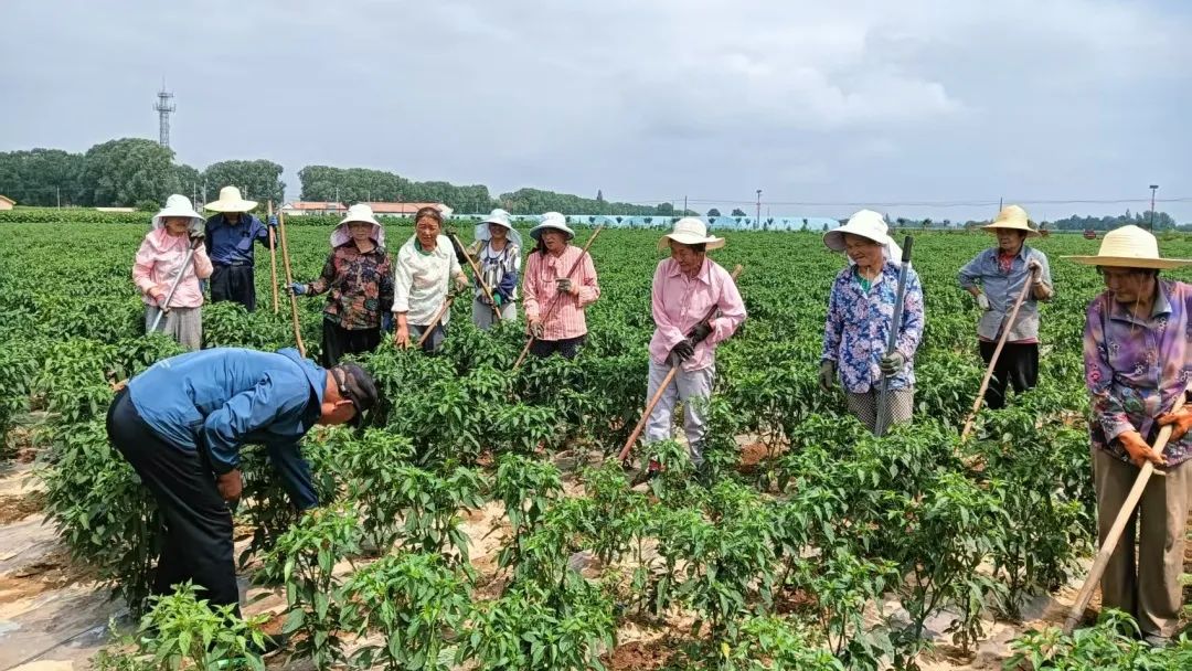 靈臺：百名農(nóng)民田間地頭學(xué)習(xí)現(xiàn)代農(nóng)業(yè)新技能