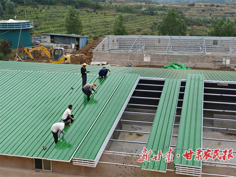 秦州區(qū)：集群項(xiàng)目穩(wěn)步推進(jìn) 生豬產(chǎn)業(yè)“畜”勢勃發(fā)

