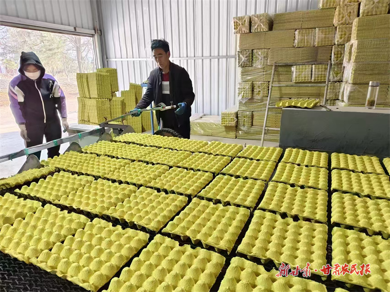 從廢紙箱到"金蛋盤" 涇川一個(gè)鄉(xiāng)鎮(zhèn)的循環(huán)經(jīng)濟(jì)實(shí)踐