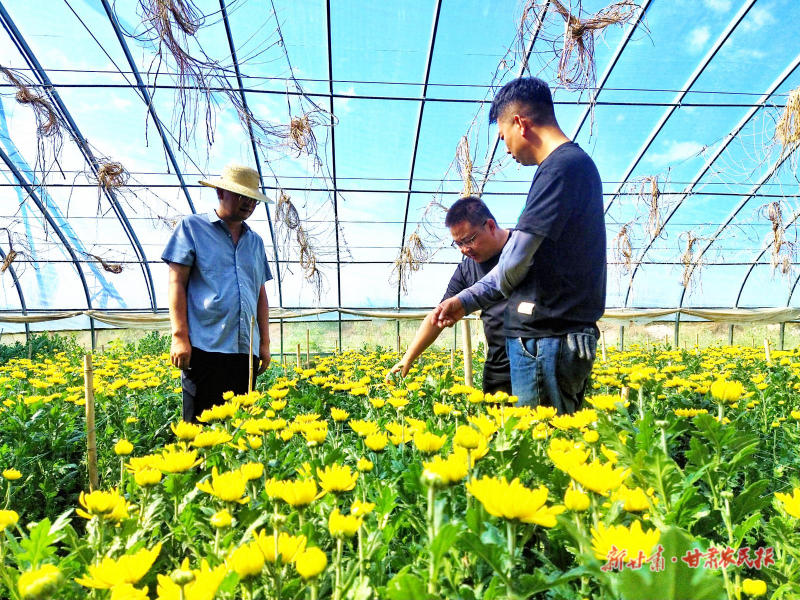 涼州區(qū) “美麗產業(yè)”花開正艷