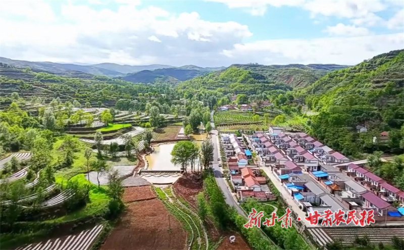 華亭：林下種植茯苓 生態(tài)致富“兩不誤”