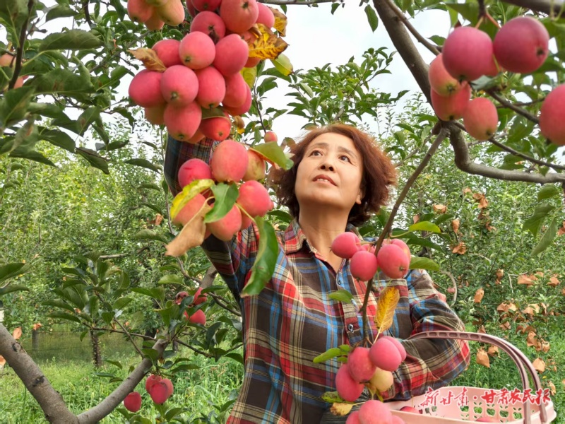 果實成熟前如何防治蟲害