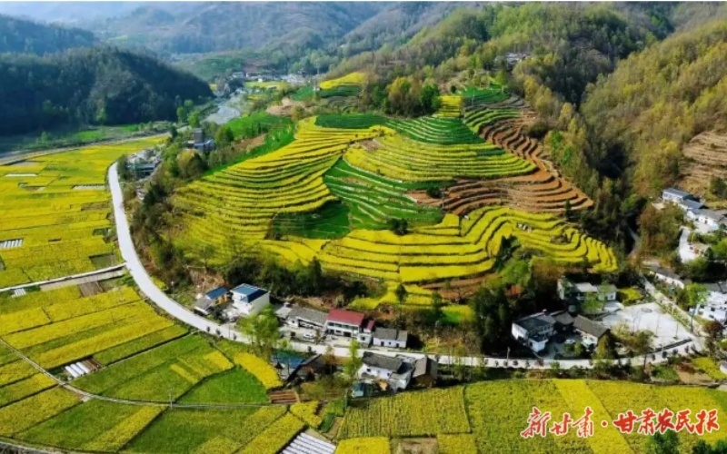 康縣大南峪鎮(zhèn)：“黨建+”激活鄉(xiāng)村振興新動能