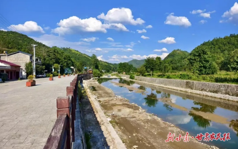 康縣鄉(xiāng)村“美顏”記：從“各掃門前雪”到“全域綠美凈”