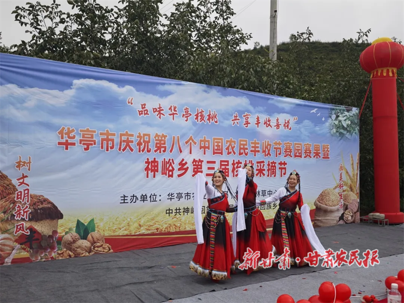 華亭:金秋核桃香滿山 采摘節(jié)里慶豐年