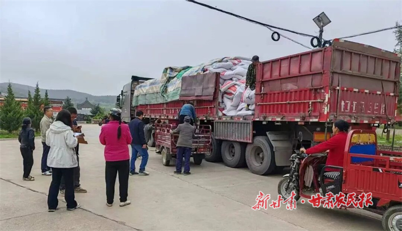 華亭:115.92 噸“秋日能量”點亮養(yǎng)牛戶致富路