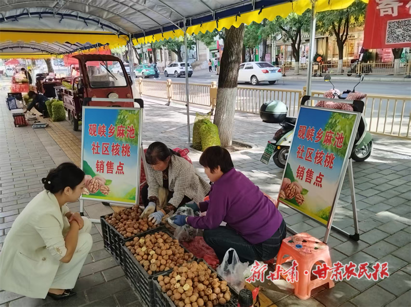 華亭：秋日“金果果” 鼓起錢袋子