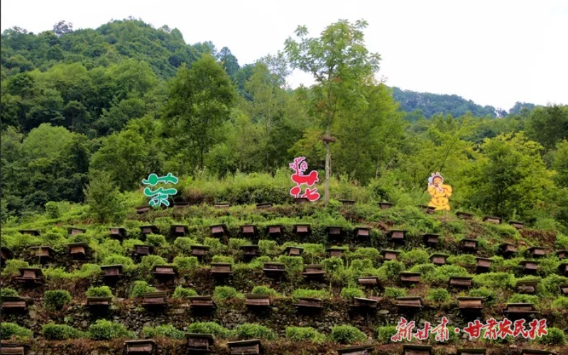 康縣銅錢鎮(zhèn)：“鏈”上黨建，串起產業(yè)發(fā)展“聚能環(huán)”