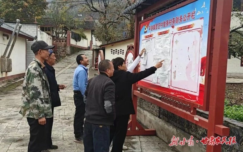康縣平洛鎮(zhèn)：黨建引領(lǐng)激活農(nóng)區(qū)發(fā)展新動(dòng)能
