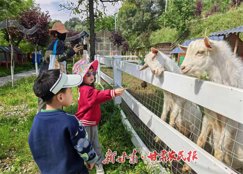 秦州文旅盛宴喜迎雙節(jié)游客