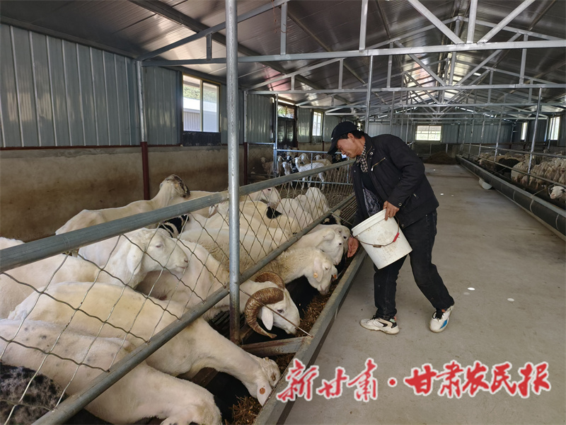 秦州區(qū)